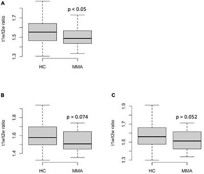 Myelin damage and cortical atrophy in watershed regions in patients with moyamoya angiopathy